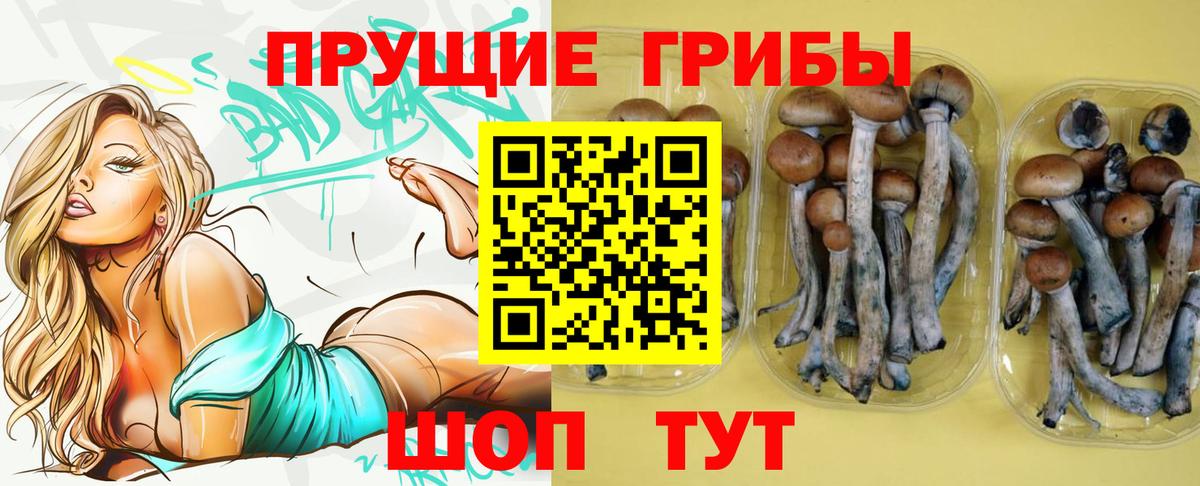 Кумертау  Галлюциногенные грибы Psilocybe  Вход с VPN 