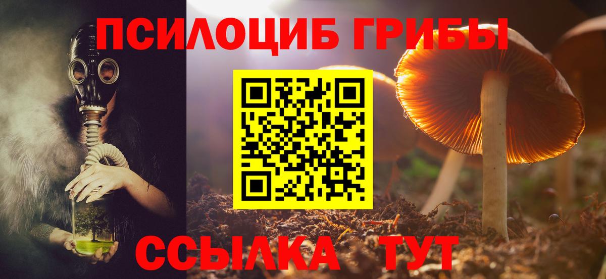 Галлюциногенные грибы Magic Shrooms Кумертау